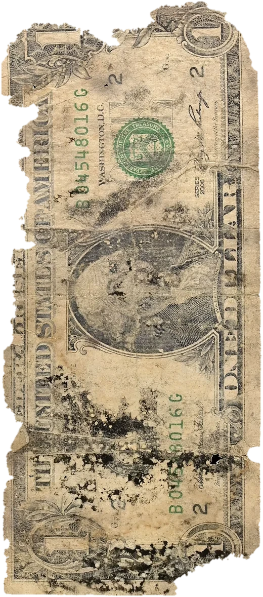 Front of specimen FF-B04548016G, a Series 2006 $1 bill from the Federal Reserve Bank of New York, serial B04548016G, tea-stained by soil and water, black mold clustered over the lower serial and its edges torn ragged after two years underground